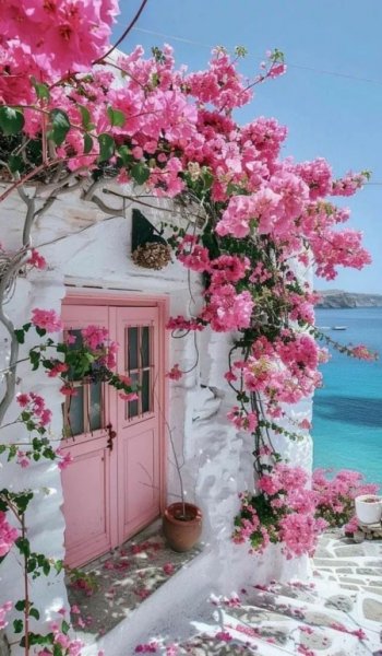  عکس صورتی برای پروفایل