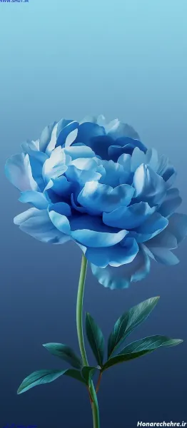  عکس مینیمال ابی