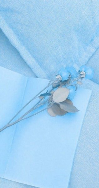  عکس کیوت ابی کمرنگ