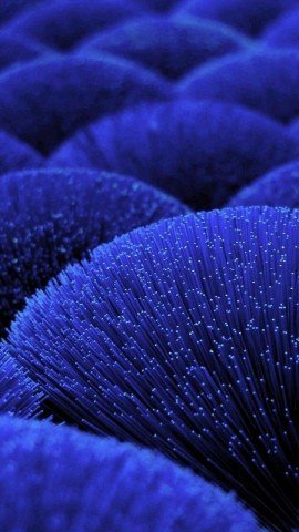  عکس آبی کیوت