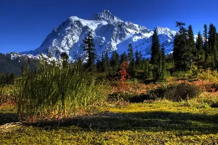  عکس مینیمال از کتاب