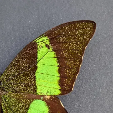  عکس مینیمال از کتاب