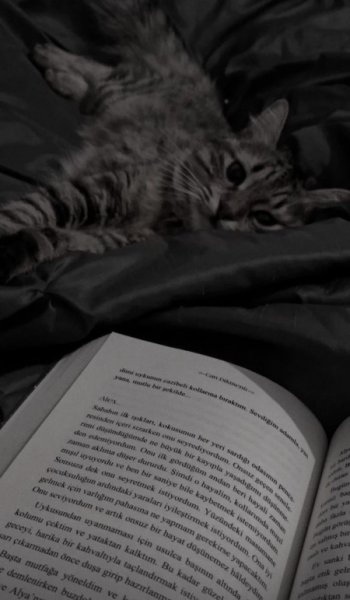  عکس کتاب برای پروفایل شاد