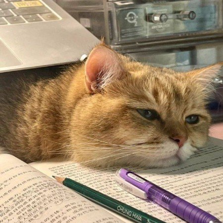  عکس کتاب برای پروفایل شاد