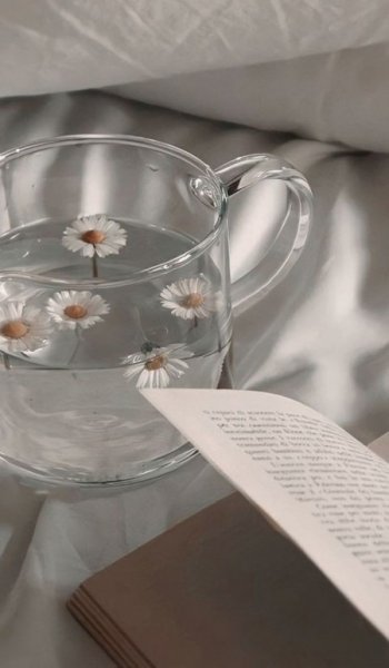  عکس کتاب برای پروفایل گروه