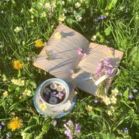  عکس کتاب برای پروفایل گروه