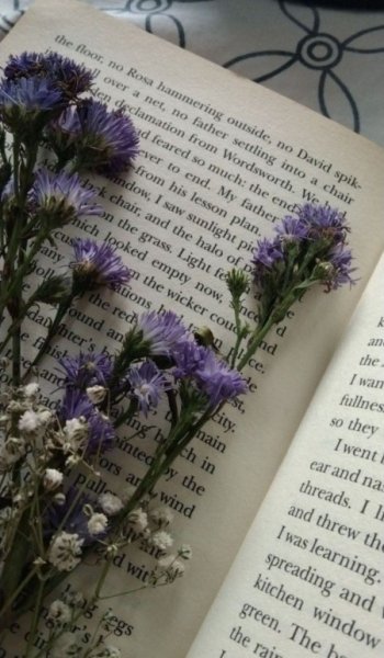  عکس کتاب برای پروفایل گروه