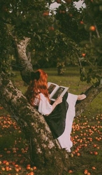  عکس کتاب برای پروفایل گروه