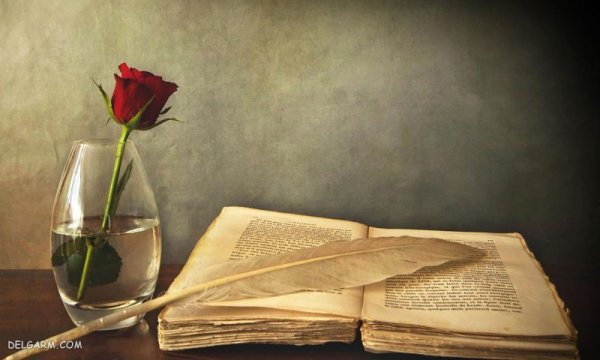  عکس کتاب و قلم برای پروفایل