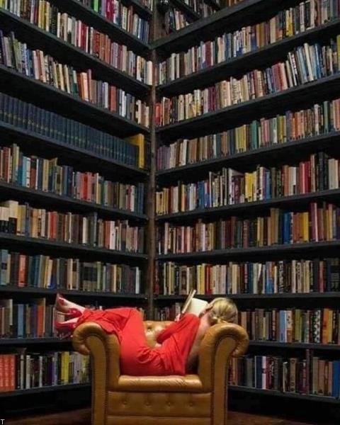  عکس کتابخانه برای پروفایل