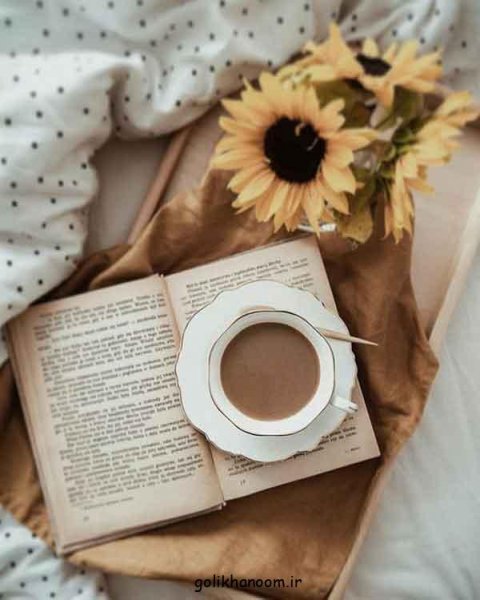  عکس کتاب برای استوری