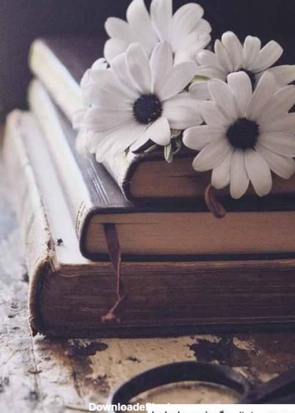  عکس دختر در حال کتاب خواندن کارتونی