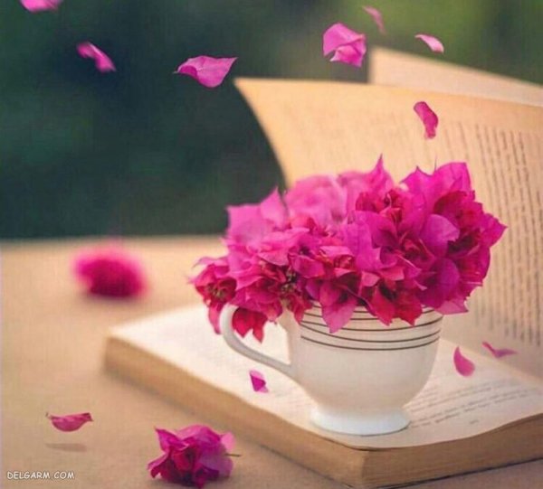  عکس پروفایل کتاب لاکچری