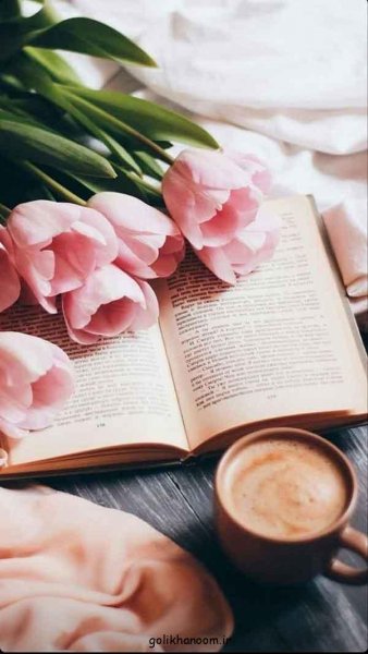  عکس پروفایل کتاب و گل و قهوه