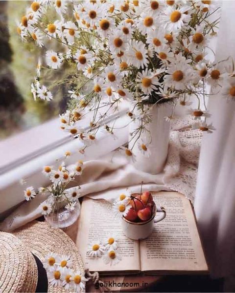  عکس پروفایل کتاب و گل و قهوه