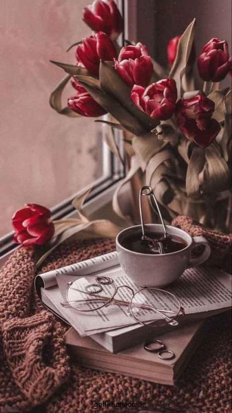  عکس پروفایل کتاب و گل و قهوه