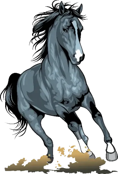  عکس مینیمال اسب