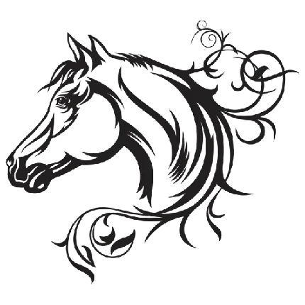  عکس مینیمال اسب