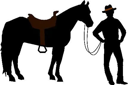  عکس مینیمال اسب