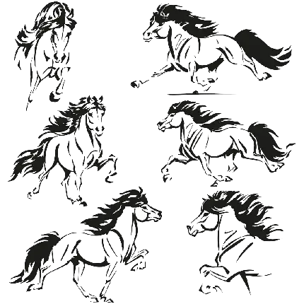  عکس مینیمال اسب