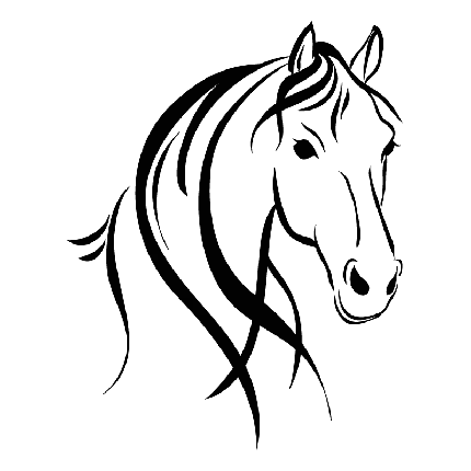  عکس مینیمال اسب