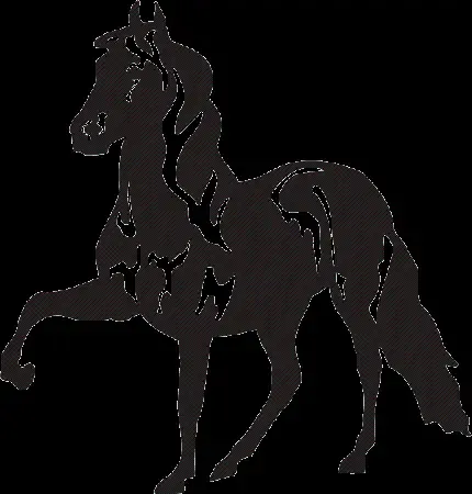  عکس مینیمال اسب