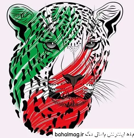  زیباترین عکس پرچم ایران