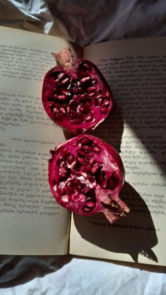  عکس مینیمال انار