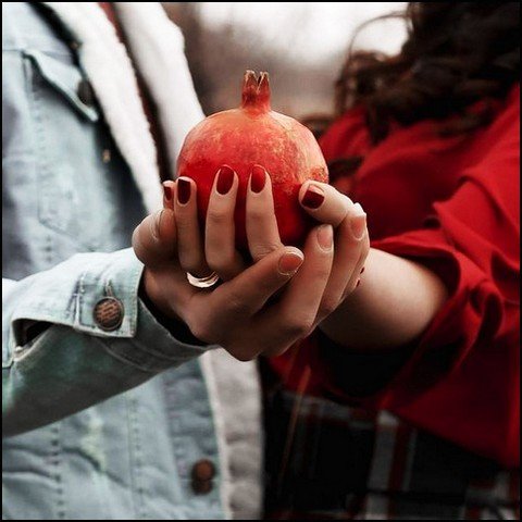  عکس انار فانتزی