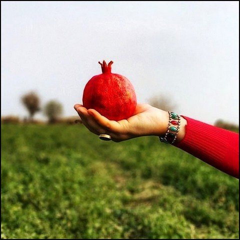  عکس انار فانتزی