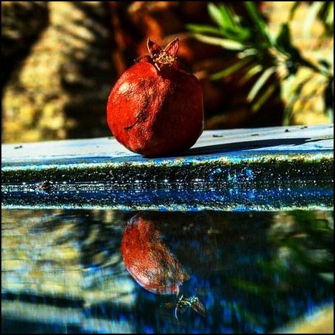  عکس انار فانتزی