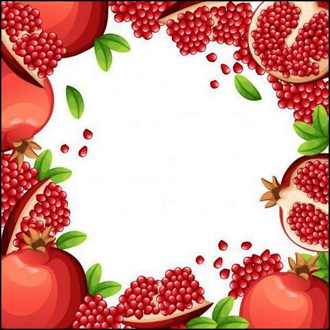  عکس انار فانتزی