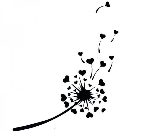  عکس مینیمال برای نقاشی