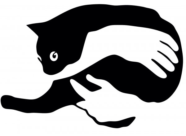  عکس مینیمال برای نقاشی