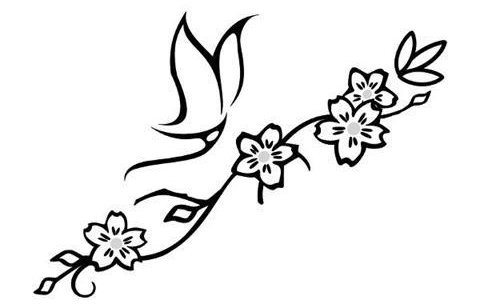  عکس مینیمال برای نقاشی