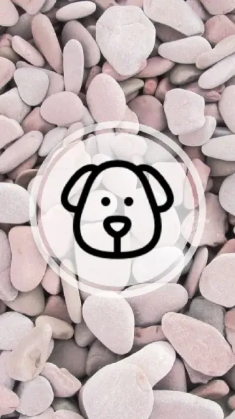  عکس مینیمال برای استوری