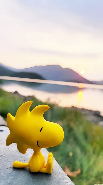  بک گراند فانتزی