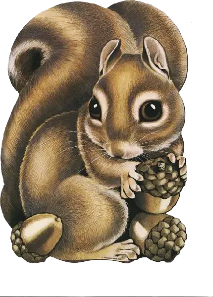  بک گراند خاص