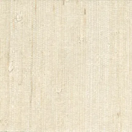  بک گراند سفید