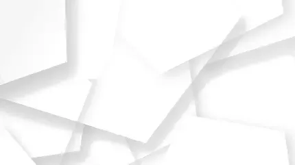  بک گراند سفید