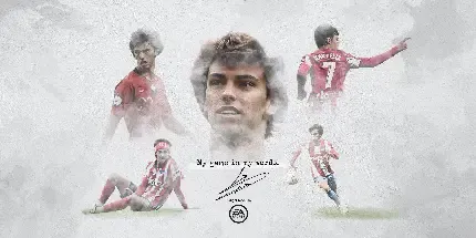  بک گراند سفید