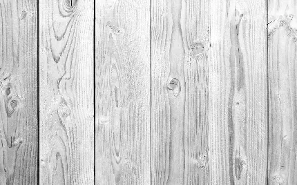  بک گراند سفید