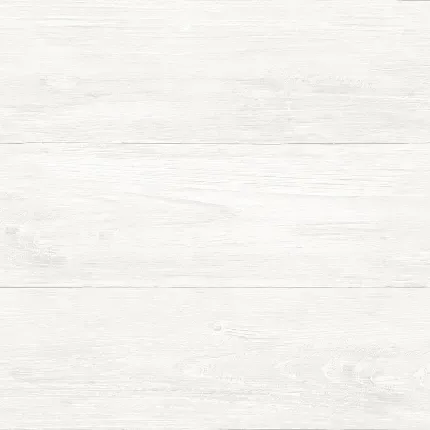  بک گراند سفید