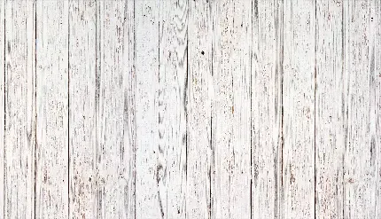  بک گراند سفید