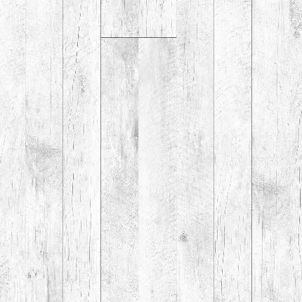  بک گراند سفید