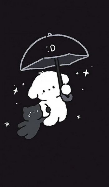  بک گراند کیوت