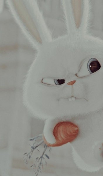  بک گراند سفید فانتزی