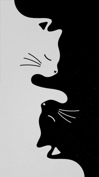 بک گراند فانتزی ساده