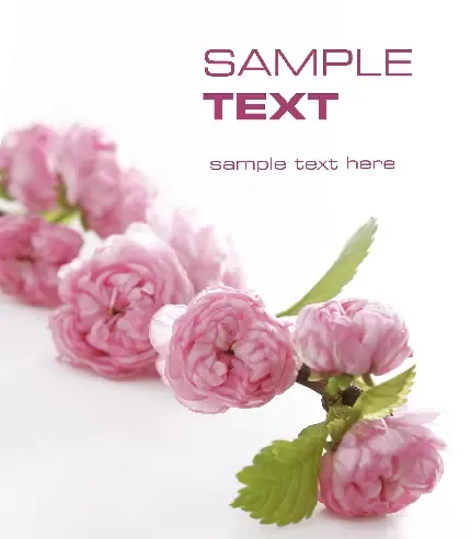  بک گراند مشکی عاشقانه دونفره