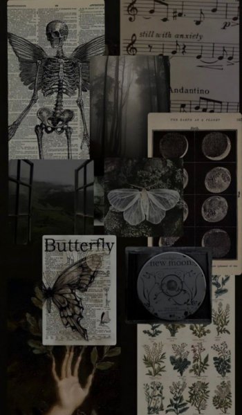  بک گراند ماه پینترست